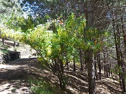 Etna Holiday Home,studio Melograno