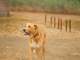 Gitavillage Club Degli Amici