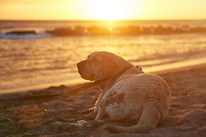 Gitavillage Club Degli Amici