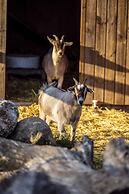 Pederstrup Bed and Breakfast