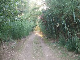 a Stone's Throw Away From Foximannana in the Foreground - Tertenia
