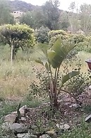 a Stone's Throw Away From Foximannana in the Foreground - Tertenia