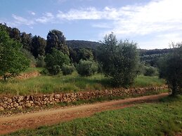 Biofarm Podere Ficareto