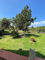 Baia Sardinia - Villa Rose With 3 Rooms 187 Meters From the sea - Inde