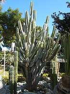 Trilocale In Villa Con Piscina - Clima E Wi-fi