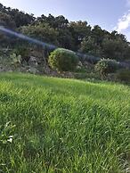 Apartment La Rocca in Lu Bagnu