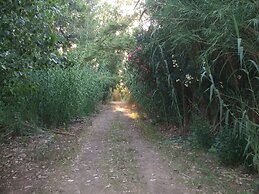 Foximanna on the North Floor in a Villa Surrounded by Greenery Facing