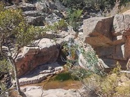 Foximanna on the North Floor in a Villa Surrounded by Greenery Facing