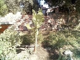 Foximanna on the North Floor in a Villa Surrounded by Greenery Facing