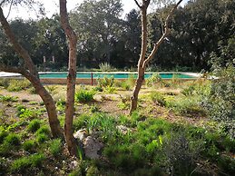 Can Madis Enjoy Your Holidays in the Very Heart of Mallorca