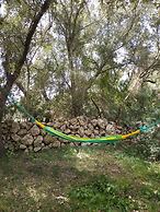 Can Madis Enjoy Your Holidays in the Very Heart of Mallorca