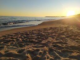 Amazing Apartment Infront the Beach