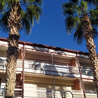 Amazing Apartment Infront the Beach