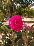 Villa Armonia, Everything Is In Harmony