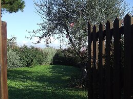 Red House/casa Rossa - Near Civita Di Bagnoregio