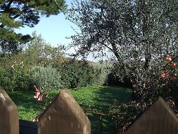 Red House/casa Rossa - Near Civita Di Bagnoregio