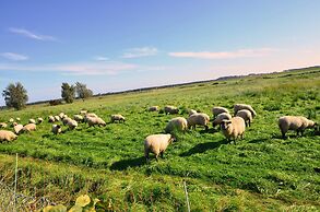 Reet Hausteile Sonnenkliff und Kamp