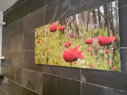 The Happiness Penthouse