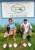 Two separate Apartments