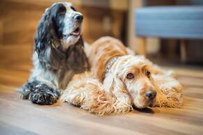 Wan's Resort Yamanakako