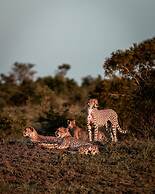 Honeyguide Khoka Moya Camp