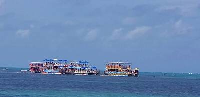 Antheia Ponta do Seixas