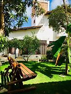 Antheia Ponta do Seixas