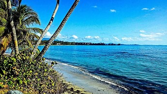La Palmita