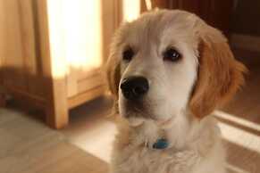 The Swallows Bed and Breakfast