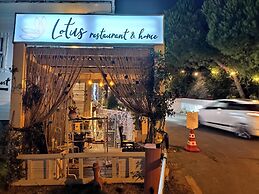 Lotus Restaurant & Home