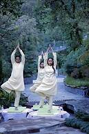 Yog Wellness Resorts & Spa by Amritara