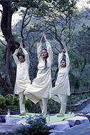 Yog Wellness Resorts & Spa by Amritara