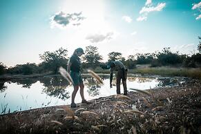 Klaserie Sands Safari Trails