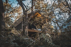 Klaserie Sands Safari Trails