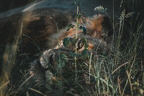 Klaserie Sands Safari Trails