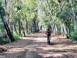 Kampea Playa de Gandia