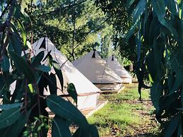 Kampea Playa de Gandia