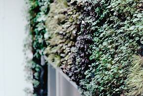 Luxury Apartments Zelny Trh