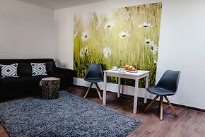 Apartments Zelny Trh III