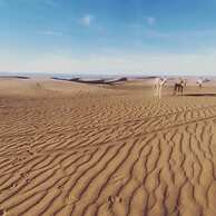 Bivouac Joudour Sahara