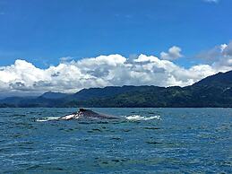 Hostel Cascada Verde