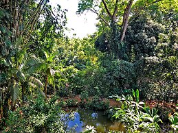 Hostel Cascada Verde