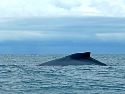 Hostel Cascada Verde