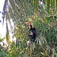 Hostel Cascada Verde