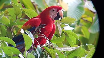 Hostel Cascada Verde