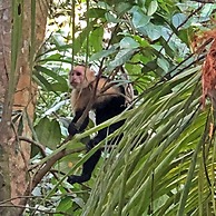 Hostel Cascada Verde