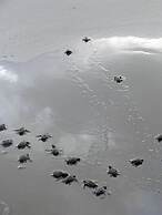 Hostel Cascada Verde