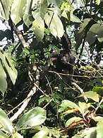 Hostel Cascada Verde