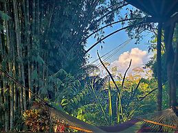 Hostel Cascada Verde