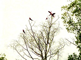 Hostel Cascada Verde